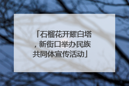 石榴花开耀白塔，新街口举办民族共同体宣传活动